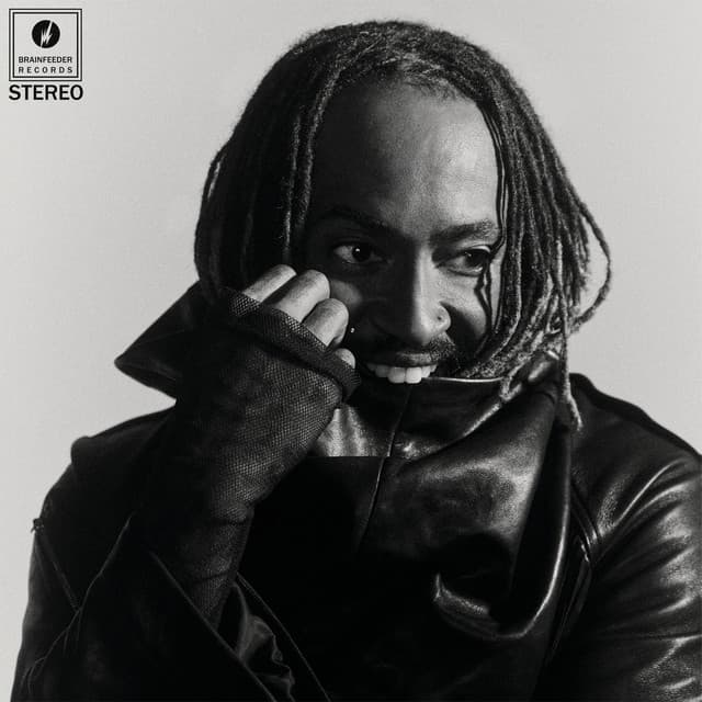 I Did This To Myself