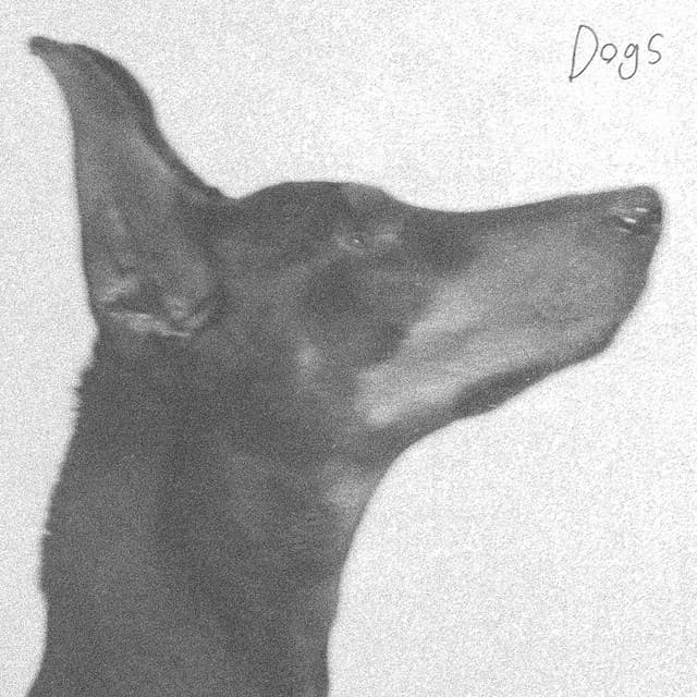 Dogs