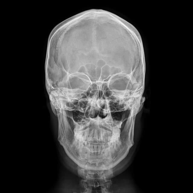 coogieandme (Feat. lobonabeat!)